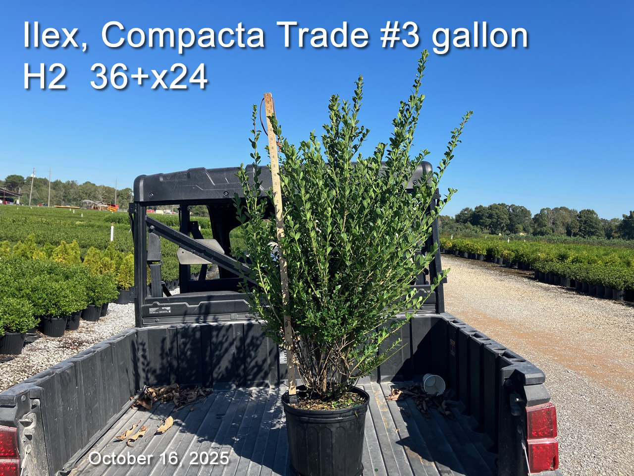 gallery/comp3t h2 oct16.jpg